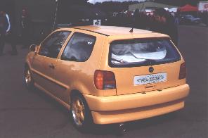 Apricot Abt Polo