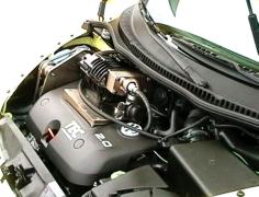 Beetle_Charge.jpg